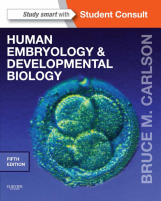 Bruce M Carlson Human Embryology.pdf